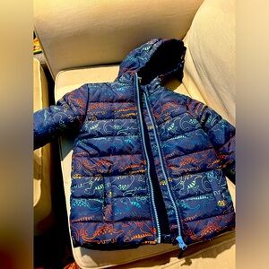 Cute Dino winter jacket gently used